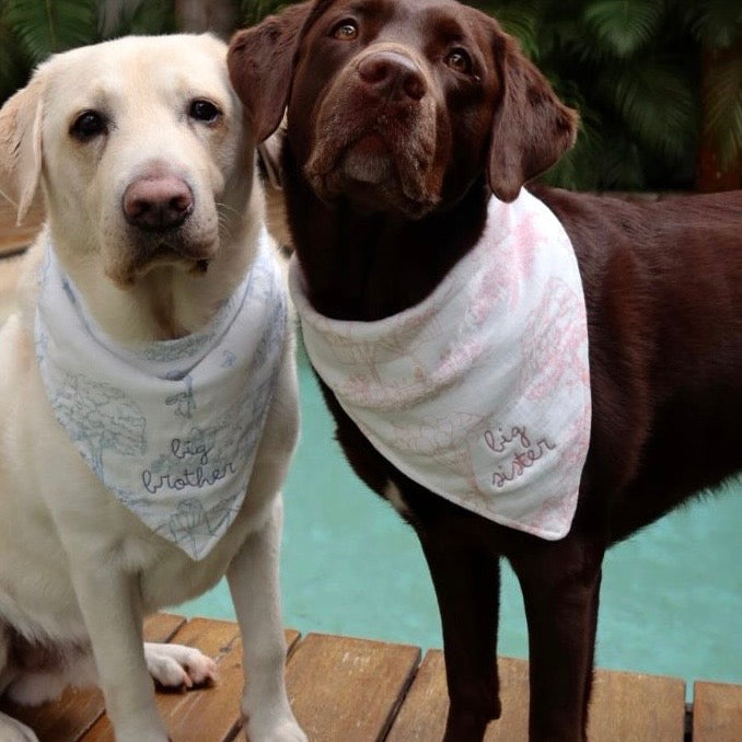 Bandana PERRO / Mascota